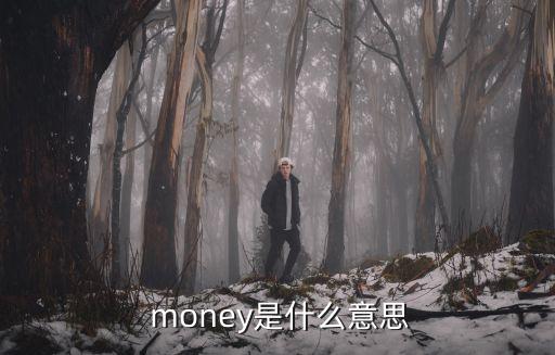  money是什么意思