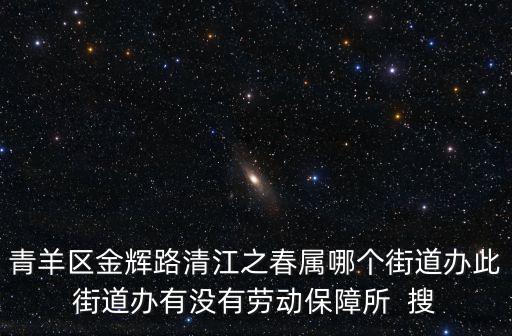 青羊區金輝路清江之春屬哪個街道辦此街道辦有沒有勞動保障所  搜