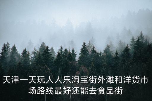 天津市人人樂小吃街，天津一天玩人人樂淘寶街外灘和洋貨市場路線最好還能去食品街