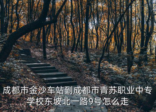 成都市青蘇職業學校有哪些校區，請問成都市青蘇職業中學是在什么地方啊