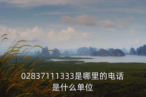 02837111333是哪里的電話是什么單位