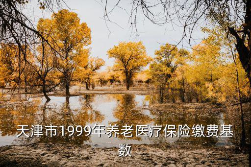 天津市1999年養老醫療保險繳費基數