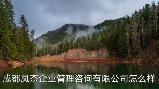 成都鳳杰企業(yè)管理咨詢有限公司怎么樣