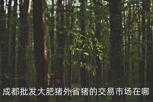 成都批發大肥豬外省豬的交易市場在哪