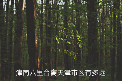 津南八里臺(tái)離天津市區(qū)有多遠(yuǎn)