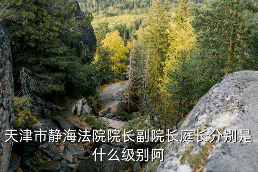 天津市高院升國旗，哦2017年10月8號從天津去北京看升國旗天津車牌限不限號