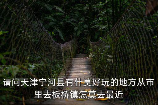 請問天津寧河縣有什莫好玩的地方從市里去板橋鎮怎莫去最近