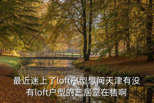 最近迷上了loft戶型想問天津有沒有l(wèi)oft戶型的三居室在售啊