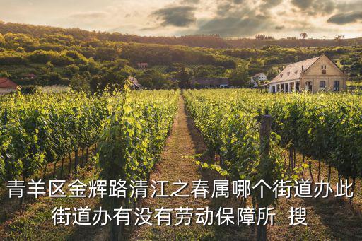成都市青羊區(qū)街道辦基層公開(kāi)平臺(tái)，成都市青羊區(qū)二環(huán)路西二段87號(hào)屬哪個(gè)街道辦