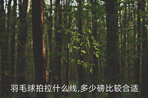 羽毛球拍拉線,首次嘗試自動穿線球拍減重效果顯著提高