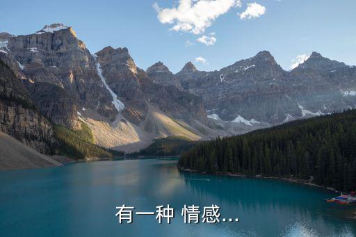 另類情感故事,情感綻放劇《搖滾櫻花》開(kāi)播講述小眾故事