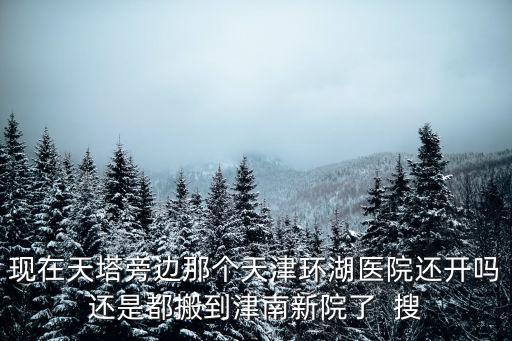 現(xiàn)在天塔旁邊那個(gè)天津環(huán)湖醫(yī)院還開嗎還是都搬到津南新院了  搜