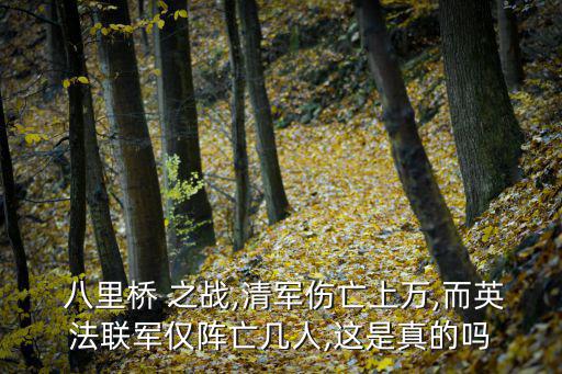 八里橋之戰(zhàn),英法聯(lián)軍經(jīng)歷拿破侖戰(zhàn)爭考驗八里橋之戰(zhàn)傷亡過半