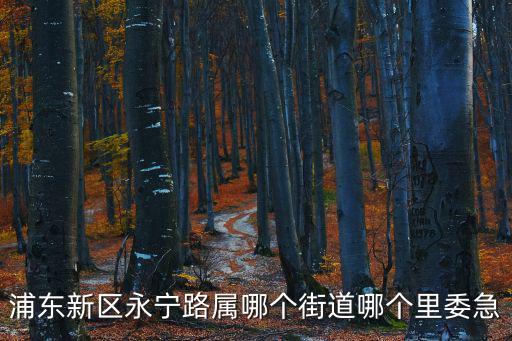 天津市永寧路是哪個街道，浦東新區永寧路屬哪個街道哪個里委急