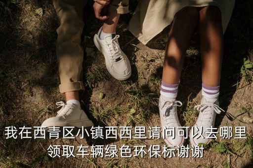 我在西青區(qū)小鎮(zhèn)西西里請(qǐng)問(wèn)可以去哪里領(lǐng)取車(chē)輛綠色環(huán)保標(biāo)謝謝