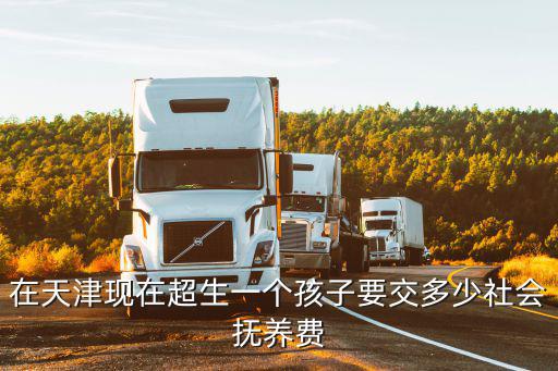 天津市社會撫養費征收，天津社會撫養費是多少