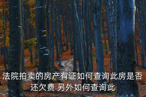 法院拍賣(mài)的房產(chǎn)有證如何查詢(xún)此房是否還欠費(fèi) 另外如何查詢(xún)此
