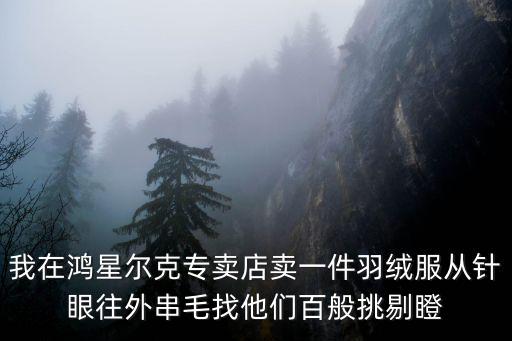 我在鴻星爾克專賣店賣一件羽絨服從針眼往外串毛找他們百般挑剔瞪