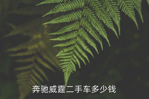 天津市二手奔馳smt，奔馳smt價格是多少自動檔的價格最低多少