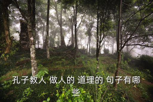 做人的道理的句子,第二集:心靈的誠(chéng)實(shí)就是不欺騙自己
