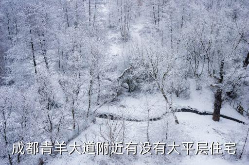 成都青羊大道附近有沒有大平層住宅