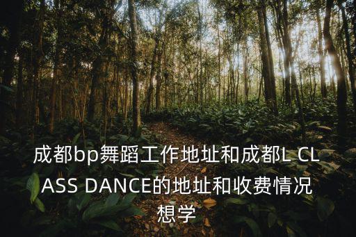 成都市 藝家class，成都bp舞蹈工作地址和成都L CLASS DANCE的地址和收費情況想學(xué)