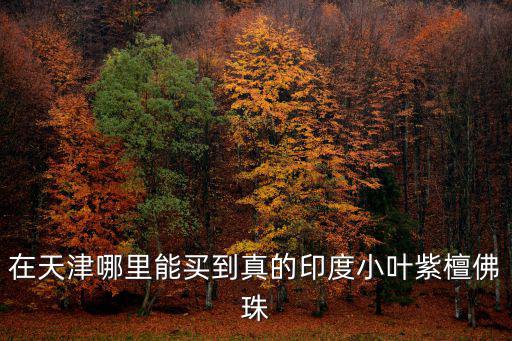 在天津哪里能買到真的印度小葉紫檀佛珠