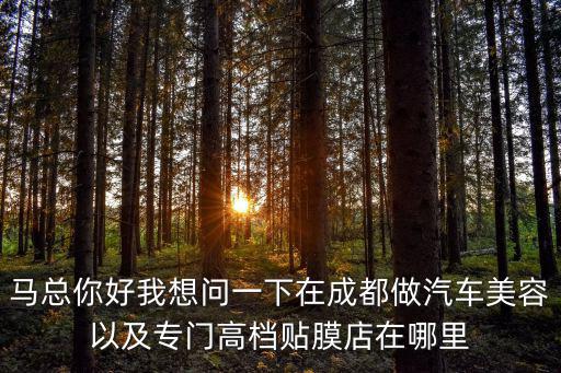 馬總你好我想問一下在成都做汽車美容以及專門高檔貼膜店在哪里