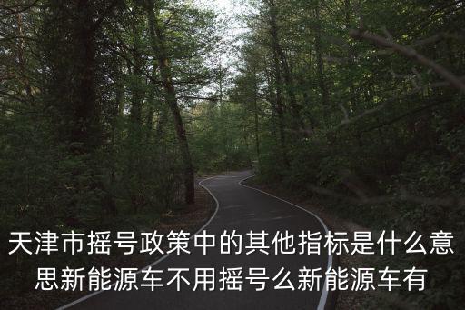 天津市搖號政策中的其他指標是什么意思新能源車不用搖號么新能源車有