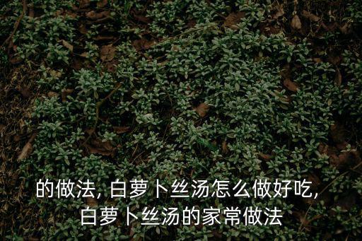 的做法, 白蘿卜絲湯怎么做好吃, 白蘿卜絲湯的家常做法