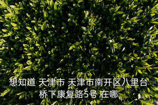 想知道 天津市 天津市南開區八里臺橋下康復路5號 在哪