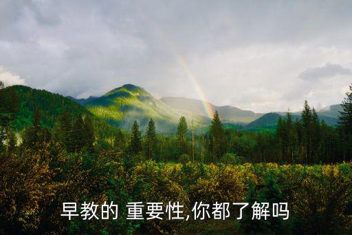 早教的 重要性,你都了解嗎