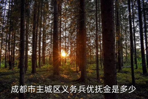 2019成都市撫恤金，成都市社保參保人員無子女死亡后撫恤金如何領取