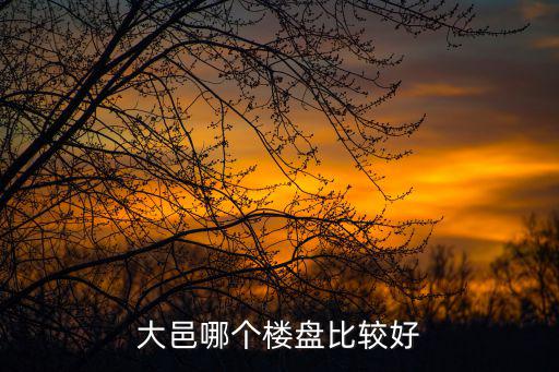 大邑哪個樓盤比較好