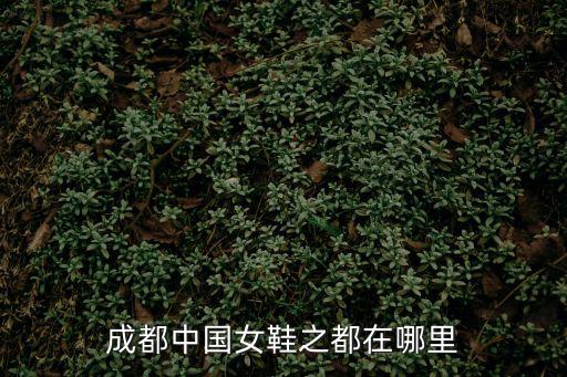 成都中國女鞋之都在哪里