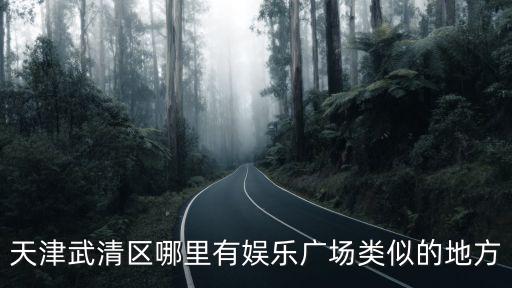 天津市武清區(qū)萬達廣場榮和堂，天津武清有幾個商場