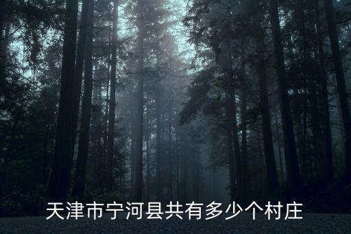 天津市寧河縣共有多少個村莊