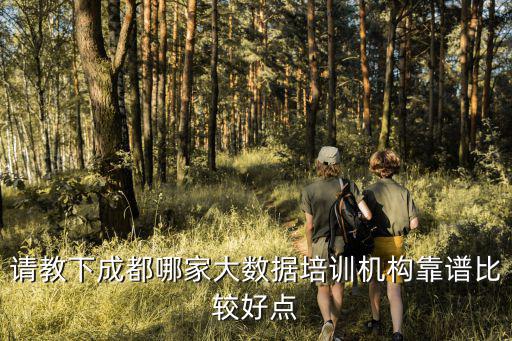 請教下成都哪家大數據培訓機構靠譜比較好點