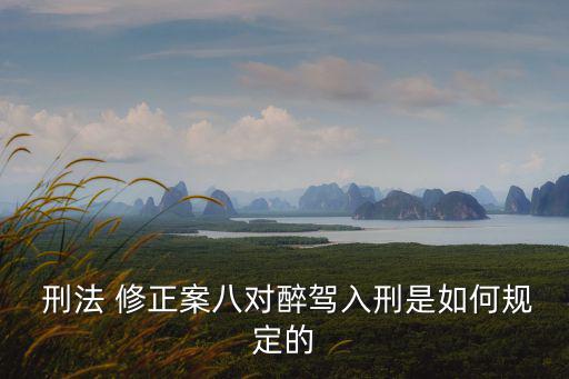  刑法 修正案八對醉駕入刑是如何規(guī)定的