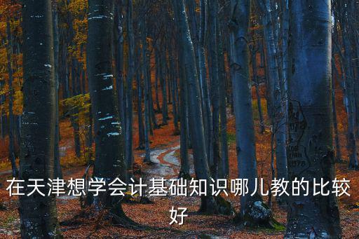 在天津想學(xué)會計(jì)基礎(chǔ)知識哪兒教的比較好