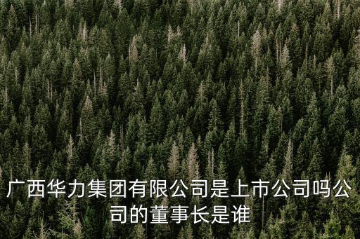 廣西華力集團有限公司是上市公司嗎公司的董事長是誰