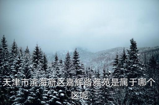 天津市濱海新區嘉輝路雅苑是屬于哪個區呢