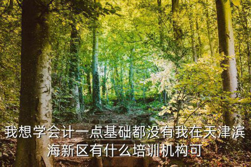 天津市濱海新區(qū)認可會計培訓，我想學會計一點基礎都沒有我在天津濱海新區(qū)有什么培訓機構可