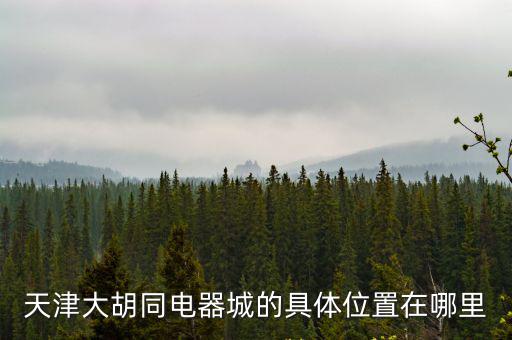 天津大胡同電器城的具體位置在哪里