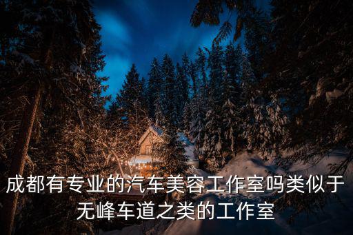成都有專業的汽車美容工作室嗎類似于無峰車道之類的工作室