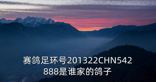 賽鴿足環號201322CHN542888是誰家的鴿子