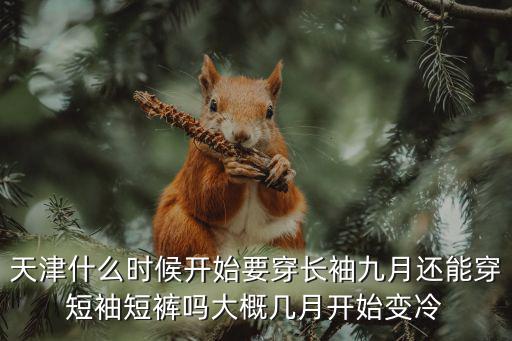 天津市什么時候穿長袖，在天津什么時候涼到可以穿長袖的