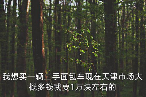 我想買一輛二手面包車現(xiàn)在天津市場大概多錢我要1萬塊左右的
