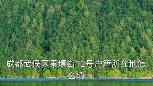 成都武侯區果堰街12號戶籍所在地怎么填