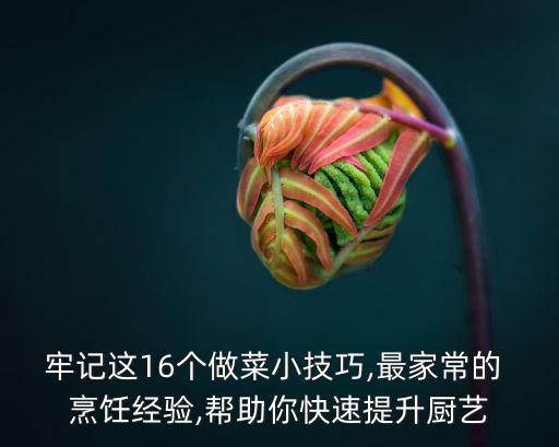 烹飪小技巧,家常菜怎么做好吃的